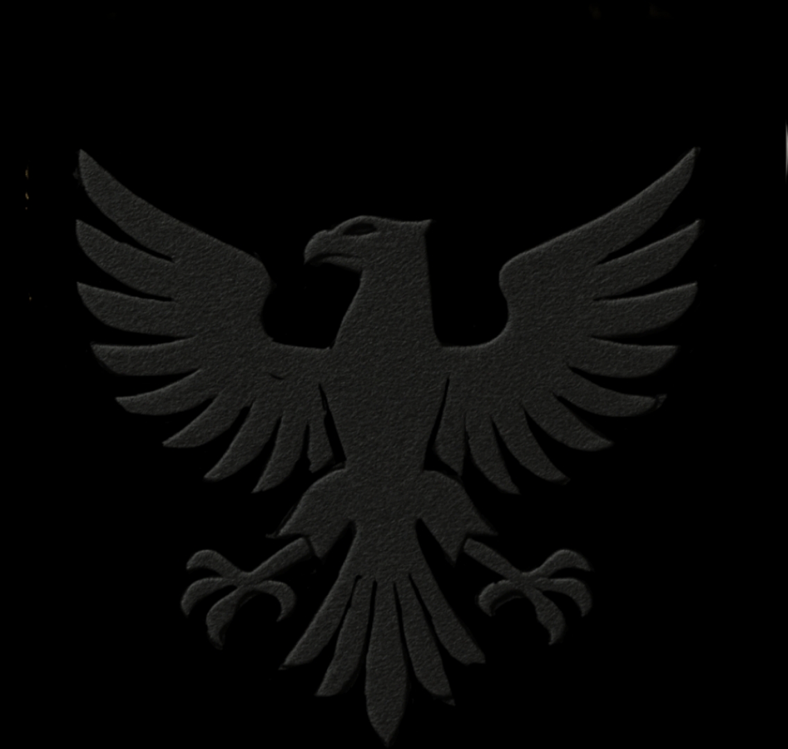 Aquila che spicca il volo